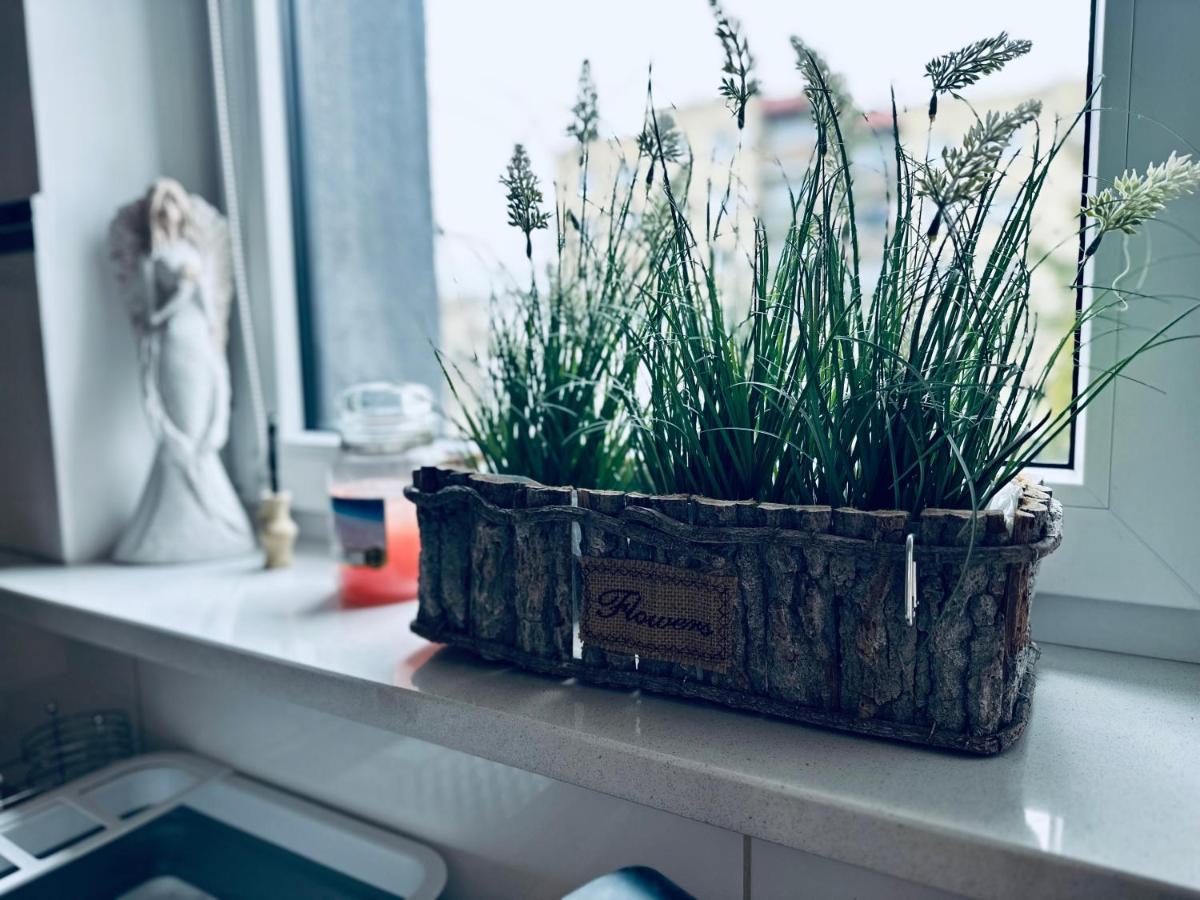 Apartment Al-dom Aniol